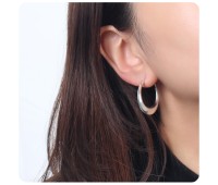  Elegant Silver Hoop Earring HO-1696